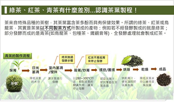 绿茶、红茶、青茶有什么差别？认识茶叶制程。（Stella营养师提供）